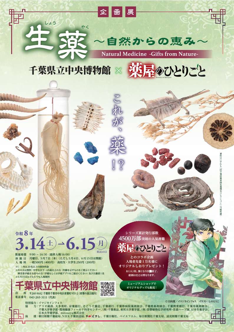 新入社員の見学レポ】「薬屋のひとりごと」コラボ展示！生薬展in千葉