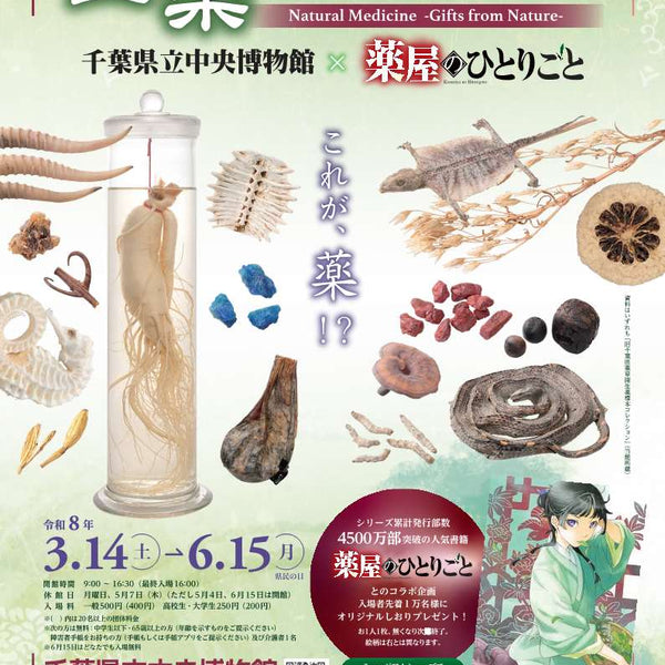 新入社員の見学レポ】「薬屋のひとりごと」コラボ展示！生薬展in千葉
