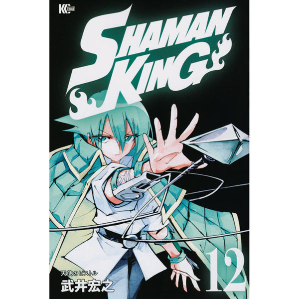 ＳＨＡＭＡＮ　ＫＩＮＧ（１２）